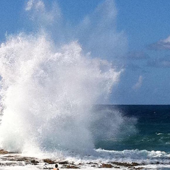 Meet your Posher, Connor - Picture 1 of 1